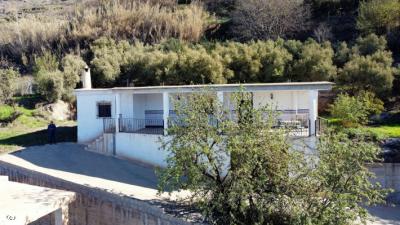 0349, Soportujar. Village House with Land